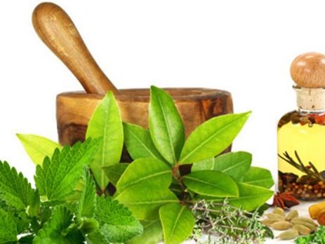 thao-duoc-teresa-herbs-cong-nghe-chiet-xuat-thao-duoc