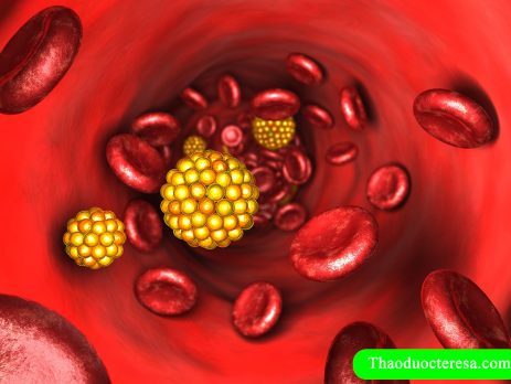 Vai trò cholesterol đối với cơ thể