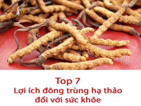 Lợi ích của đông trùng hạ thảo đối với sức khỏe