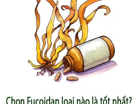 chon-fucoidan-loai-nao-la-tot-nhat