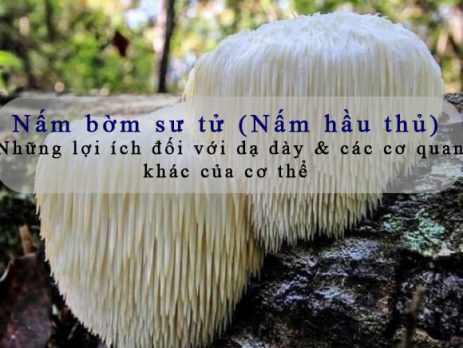 cong-dung-nam-bom-su-tu-nam-hau-thu-doi-voi-da-day-suc-khoe