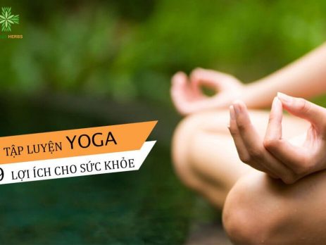 9-loi-ich-cua-tap-luyen-yoga-doi-voi-suc-khoe