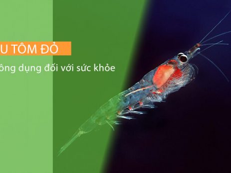 dau-tom-do-cong-dung-doi-voi-suc-khoe