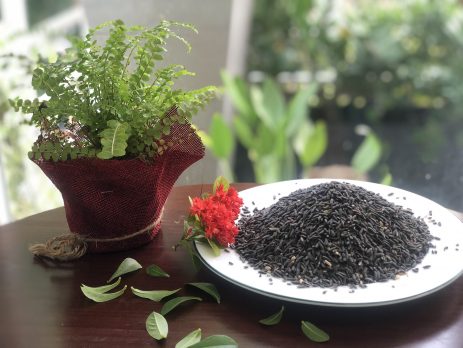 thao-duoc-teresa-herbs-gao-tim-an-tho