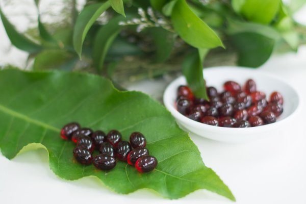 thao-duoc-teresa-herbs-dau-nhuyen-the